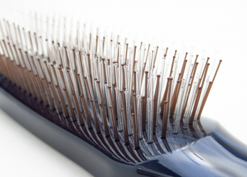 スクリーンショット 2025-12-27 8.15.57